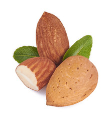 almonds in close-up