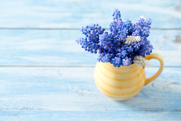 Blue muscari flowers (Grape hyacinth) on wooden background