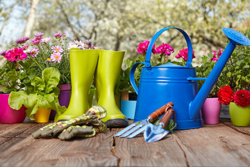 Outdoor gardening tools on old wooden table