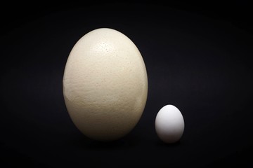 Ostrich egg and chicken egg