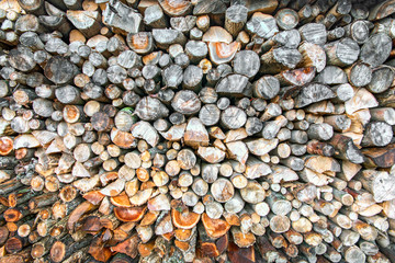 Holz als nachwachsender Naturbrennstoff