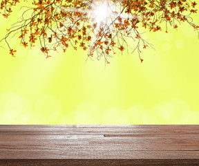 Naklejka na ściany i meble Branch of tree with blurred light bokeh
