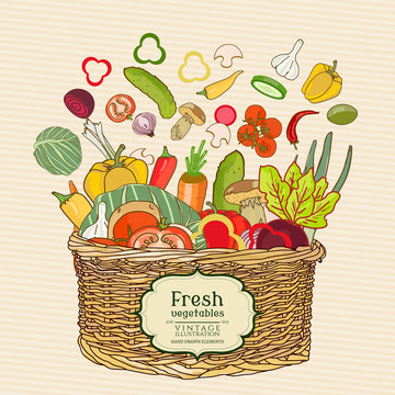 Fresh vegetables in a basket vector background