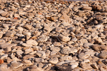 the coast with sea pebbles