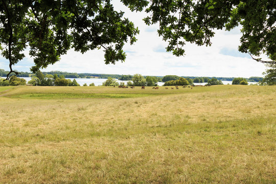 Fototapeta Blick über den Krakower See 