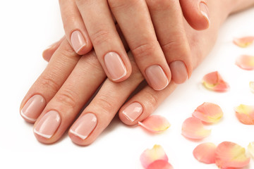 Woman hands with beautiful rose petals on white background, close up