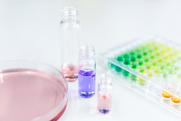 Microtiter Plate and Petri Dish with Liquid