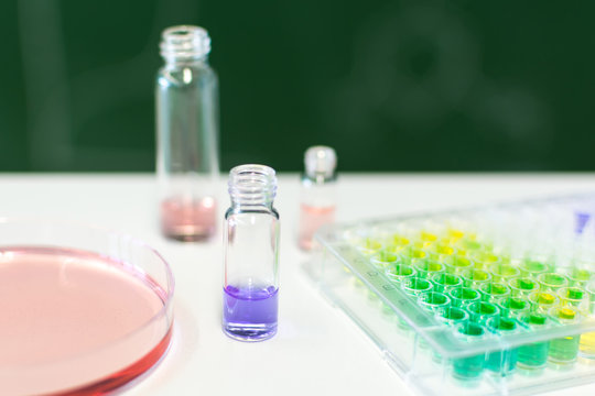 Microtiter Plate and Petri Dish with Liquid