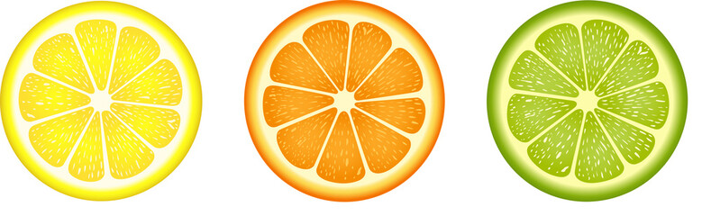 Fototapeta na wymiar Citrus fruit slices 