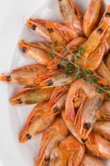 portion hot shrimps on white plate