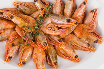 portion hot shrimps on white plate