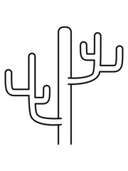 large desert cactus design pattern