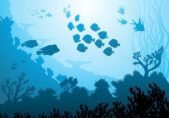Fototapeta na wymiar Sea underwater world with different animals