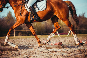 Girl riding a horse