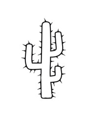 large cactus desert thorn