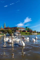 Naklejka premium Wawel castle in Krakow