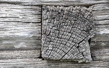 wall of log house