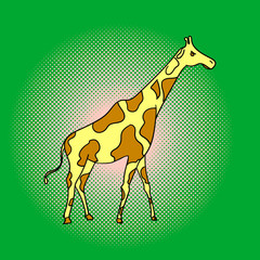 Giraffe pop art vector illustration