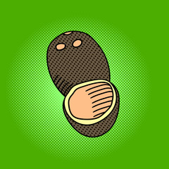 Coconut pop art vector