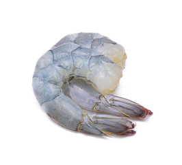 Raw prawns isolated on white background