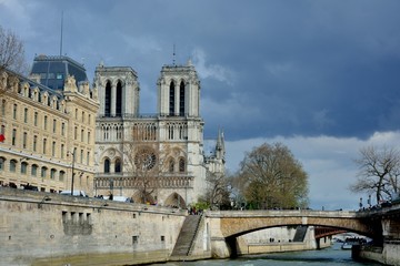 Fototapeta na wymiar La cathédrale Notre-dame de Paris sur l'île de la cité