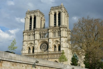 Fototapeta na wymiar La façade de la cathédrale Notre-Dame de Paris vue depuis la Seine
