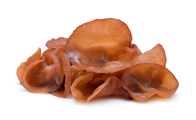 Ear mushroom on white background