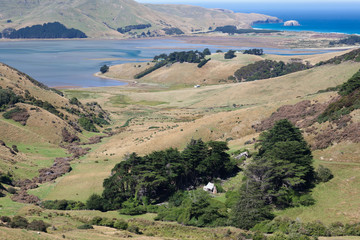 Otago Peninsula
