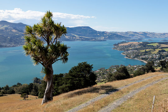 Otago Peninsula