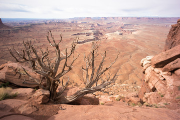 canyonlands overlook