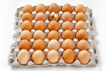 golden egg in a row of the brown eggs