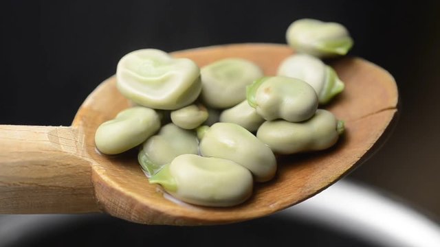 Vicia faba Broad bean ソラマメ Fava فول Ackerbohne Fave Haba Bob English mahunarka B&oacute;b Боб садовый 蚕豆 Tuinboon obecn&yacute; F&egrave;ves Bondb&ouml;na פול