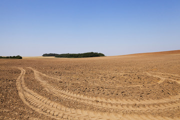 plowed land, summer 