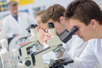 Row of students using microscopes