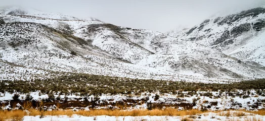 Gordijnen Snowy Hillside © justin_anderson