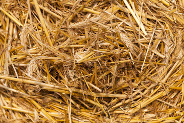 stack of straw in the field  