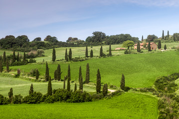 Fototapeta na wymiar Scenery Val d'Orcia Tuscany