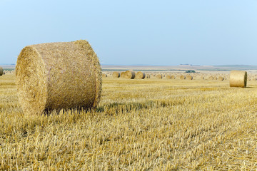 stack of straw in the field  