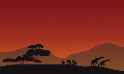 Fototapeta na wymiar Silhouette of giraffe and gorilla