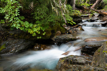 Obraz premium Holland Creek