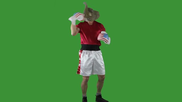 Man in elephant GOP mask punching himself in head and face against a green screen.
