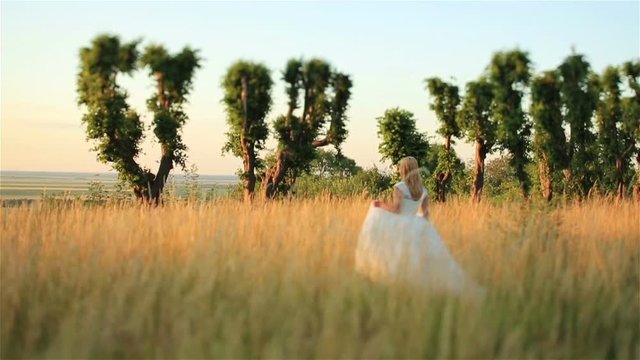 Beautiful blonde bride running through the golden wheat field. Wonderful honeymoon