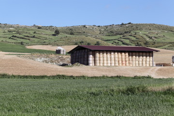 Fienile con rotoballe