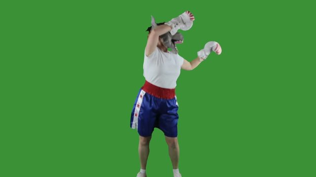 Woman wearing Democrat donkey mask in boxing shorts and gloves doing a victory dance against green screen.
