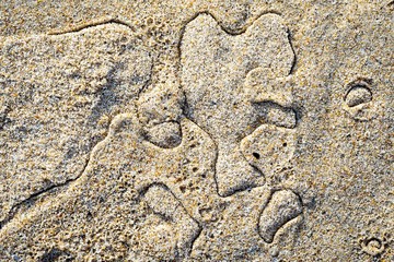 pattern on the sand by wet drops