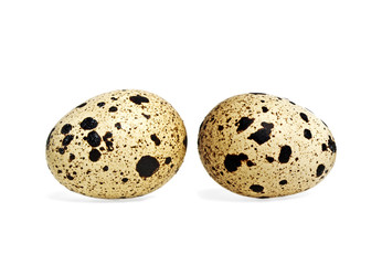 Quail eggs on white background