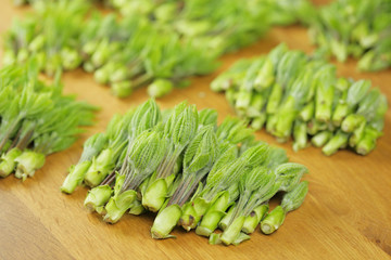 収穫したコシアブラ
