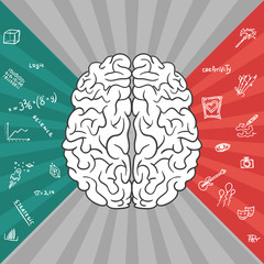 Left and right parts of brain 