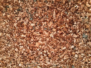 dry sawdust texture