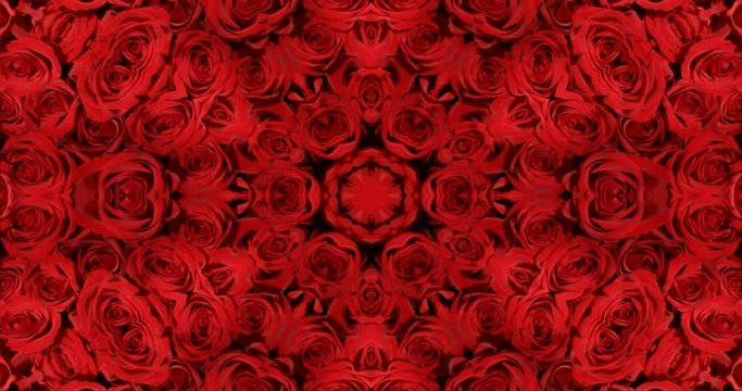 薔薇の万華鏡,赤,4K